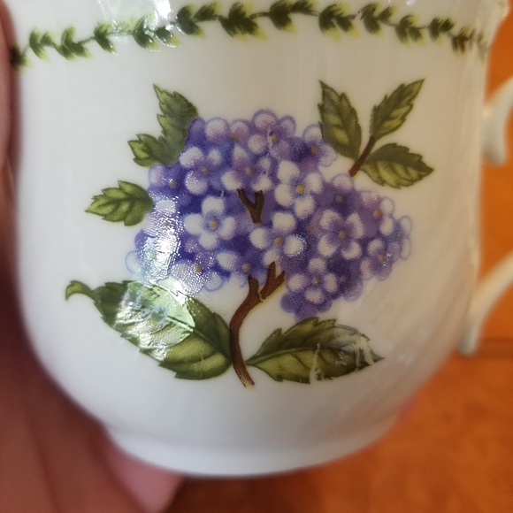 Teuly Tasteful Bone China Cup and Saucer - Picture 4 of 7